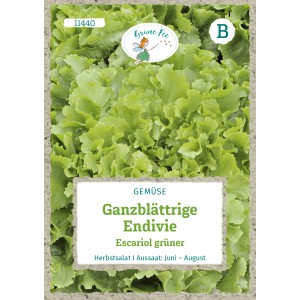 Saatgutpackung Grüne Fee Endivie, ganzblättrig, Escariol grüner Herbstsalat.