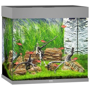 Graues Juwel Aquarium Lido LED 120 l Komplettset mit Fischen, Pflanzen und Dekoration.