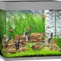 Graues Juwel Aquarium Lido LED 120 l Komplettset mit Fischen, Pflanzen und Dekoration.