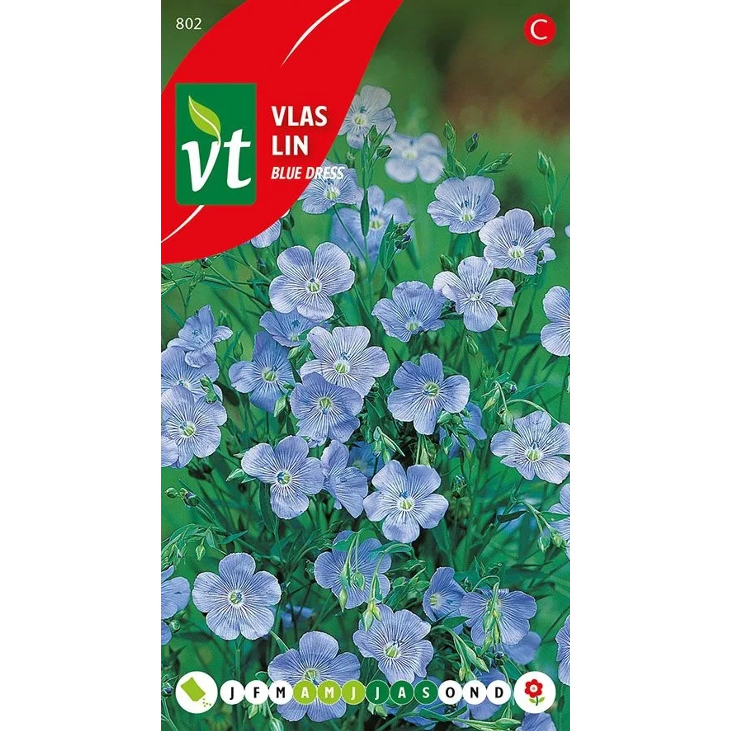 Blauer Lein Samen Ca. 1 g Blaue Blüten