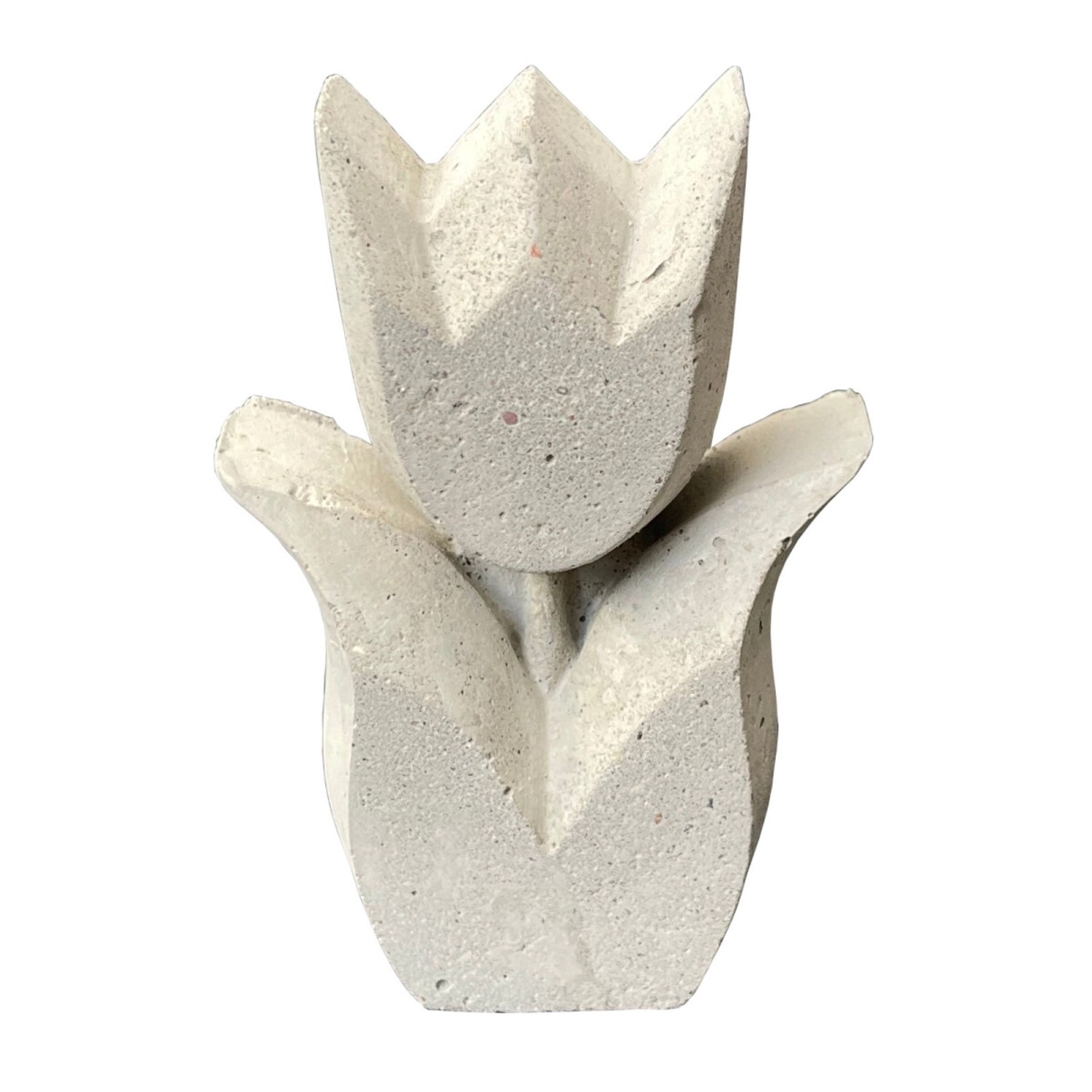 ZGM Betonfigur Tulpe TOPPY günstig online kaufen