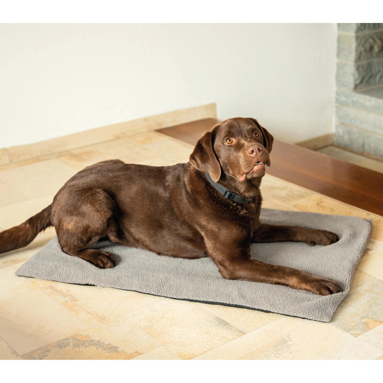 Brauner Labrador liegt auf grauer, wärmeisolierender Bestlivings Thermotierdecke (70x100 cm).