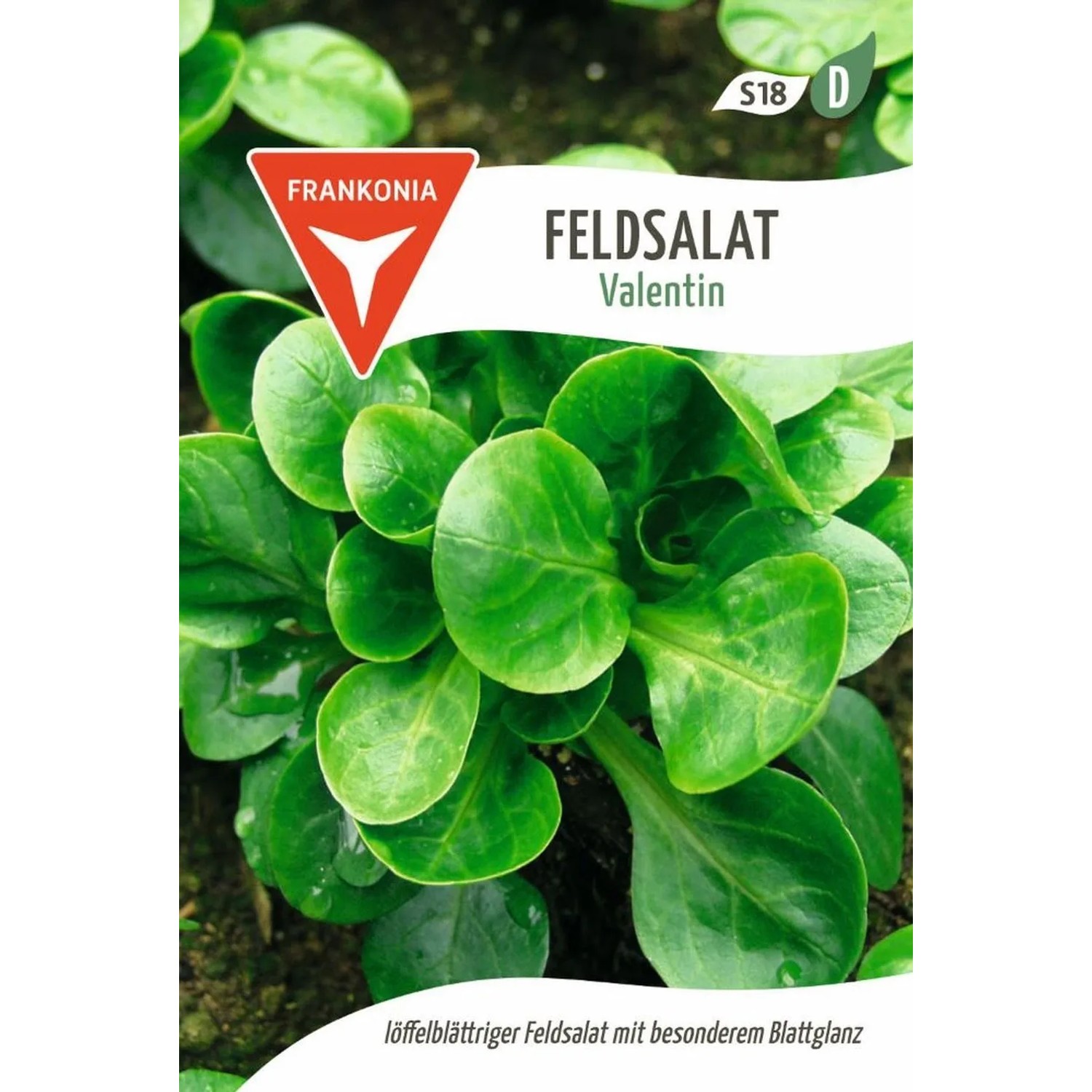 FRANKONIA Feldsalat Valentin
