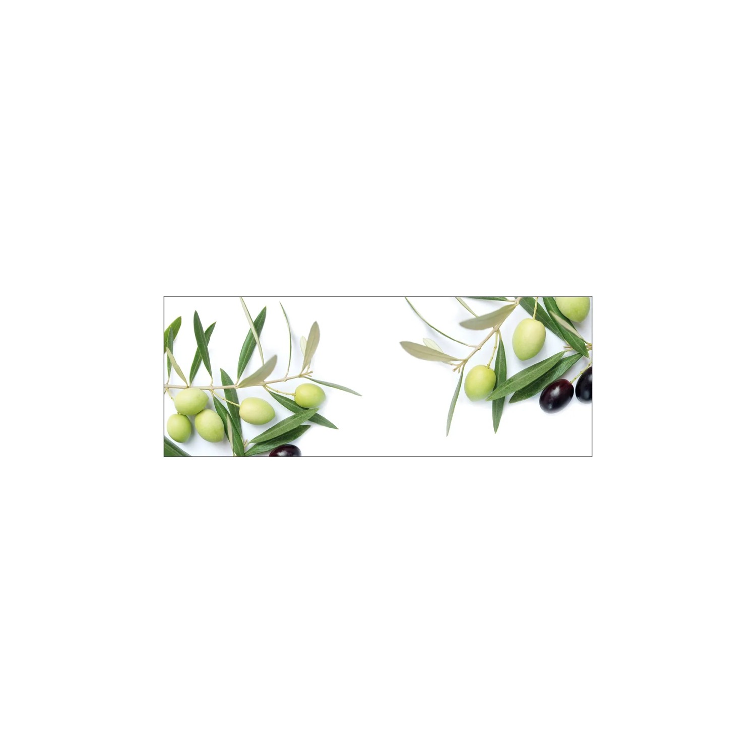 MySpotti Küchenrückwand Profix Cucina Olivenzweig 160 x 60 cm Olivgrün