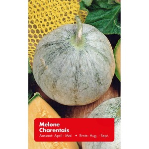 Charentais Melone, runde Form, genetzte Schale. Süße Sorte für sonnige Standorte.