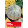 Charentais Melone, runde Form, genetzte Schale. Süße Sorte für sonnige Standorte.