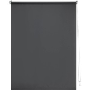 Graues Tageslicht-Rollo Zamora, 80x175 cm, für Sichtschutz ohne Verdunkelung.