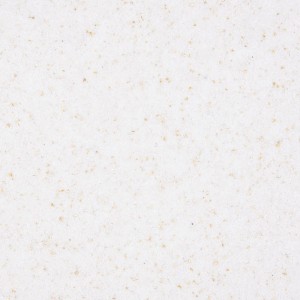 Terralith Buntsteinputz Mosaikputz 1mm 14 kg BSP1123 Weiss Gold
