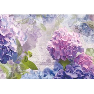 Komar Fototapete Otaksa mit Hortensien in Lila- und Rosatönen, florales Wandbild.