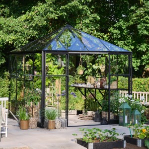 Schwarzes Halls Gewächshaus Qube Square mit Sicherheitsglas im Garten.