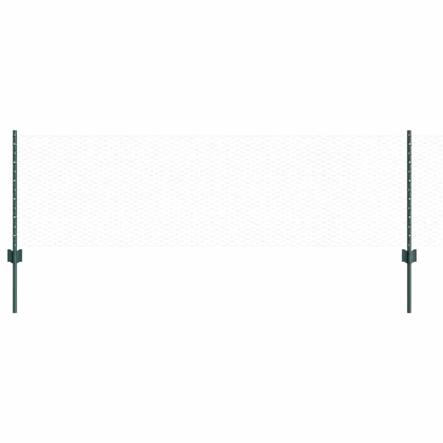 vidaXL Zaun mit Pfosten Grün 3336781