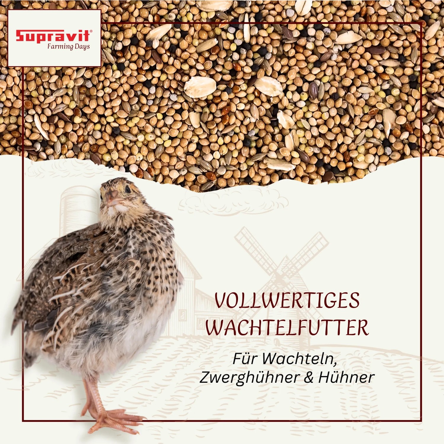 Supravit Wachtelfutter  Körnermischung für Wachteln und Hühner Alleinfuttermischung_2