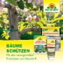 Neudorff Produkte zum Schutz von Bäumen: Baumanstrich, Schädlingsschutznetz, Raupenleim und Insektenleim.