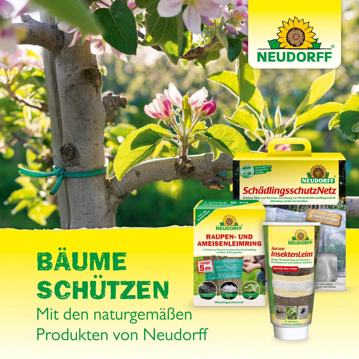 Neudorff Produkte zum Schutz von Bäumen: Baumanstrich, Schädlingsschutznetz, Raupenleim und Insektenleim.