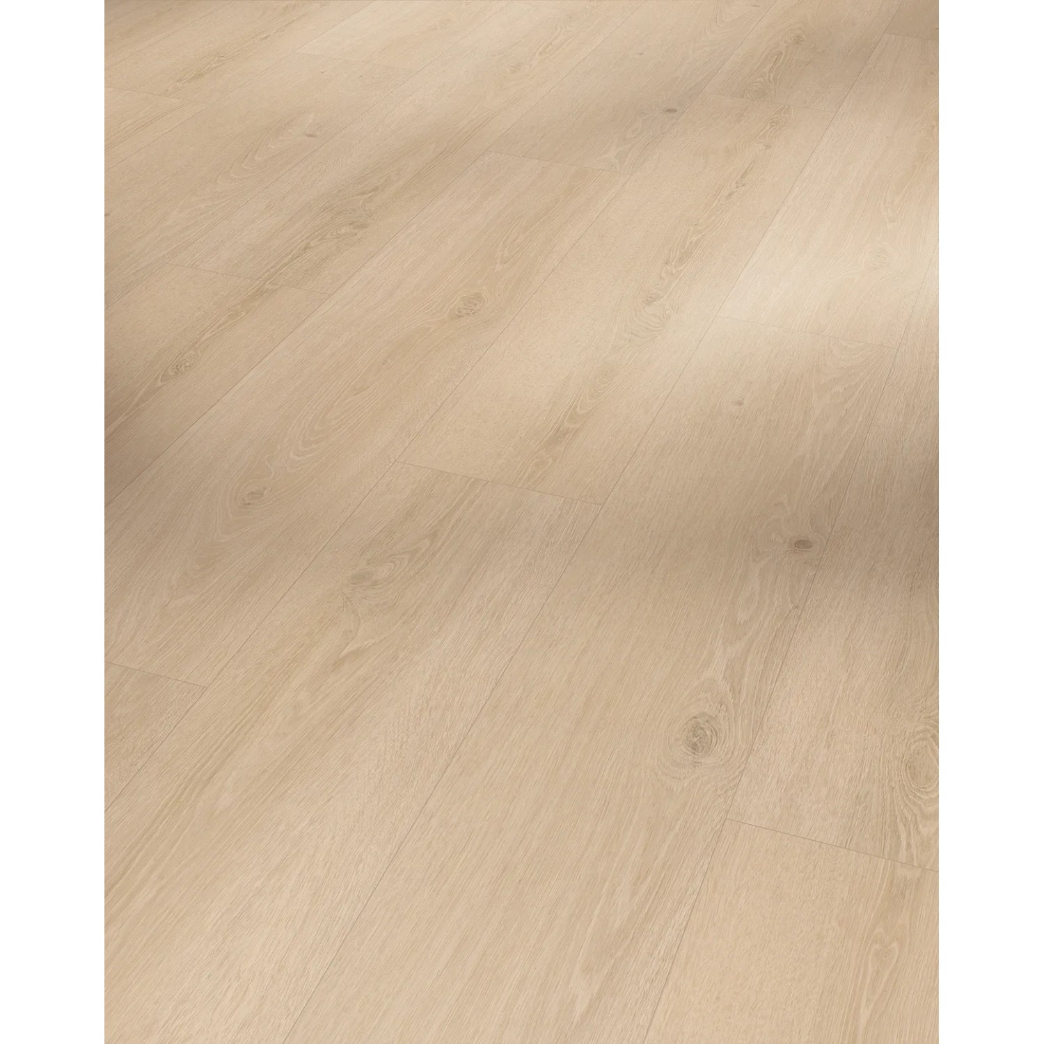 Parador Vinylboden Basic 5.3 Eiche Studioline geschliffen, helle Holzoptik für Wohnräume.
