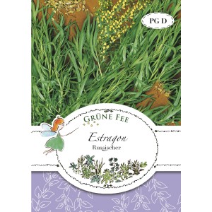 Samenpackung Grüne Fee Estragon Russischer, mehrjähriges Würzkraut für Garten und Küche.