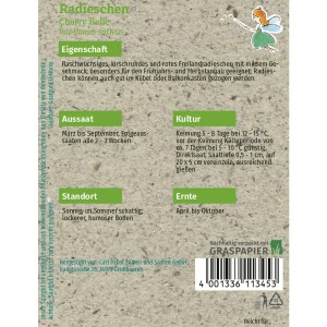 Saatguttütchen Grüne Fee Radieschen Cherry Belle, Gemüsesamen für ca. 250 Pflanzen.