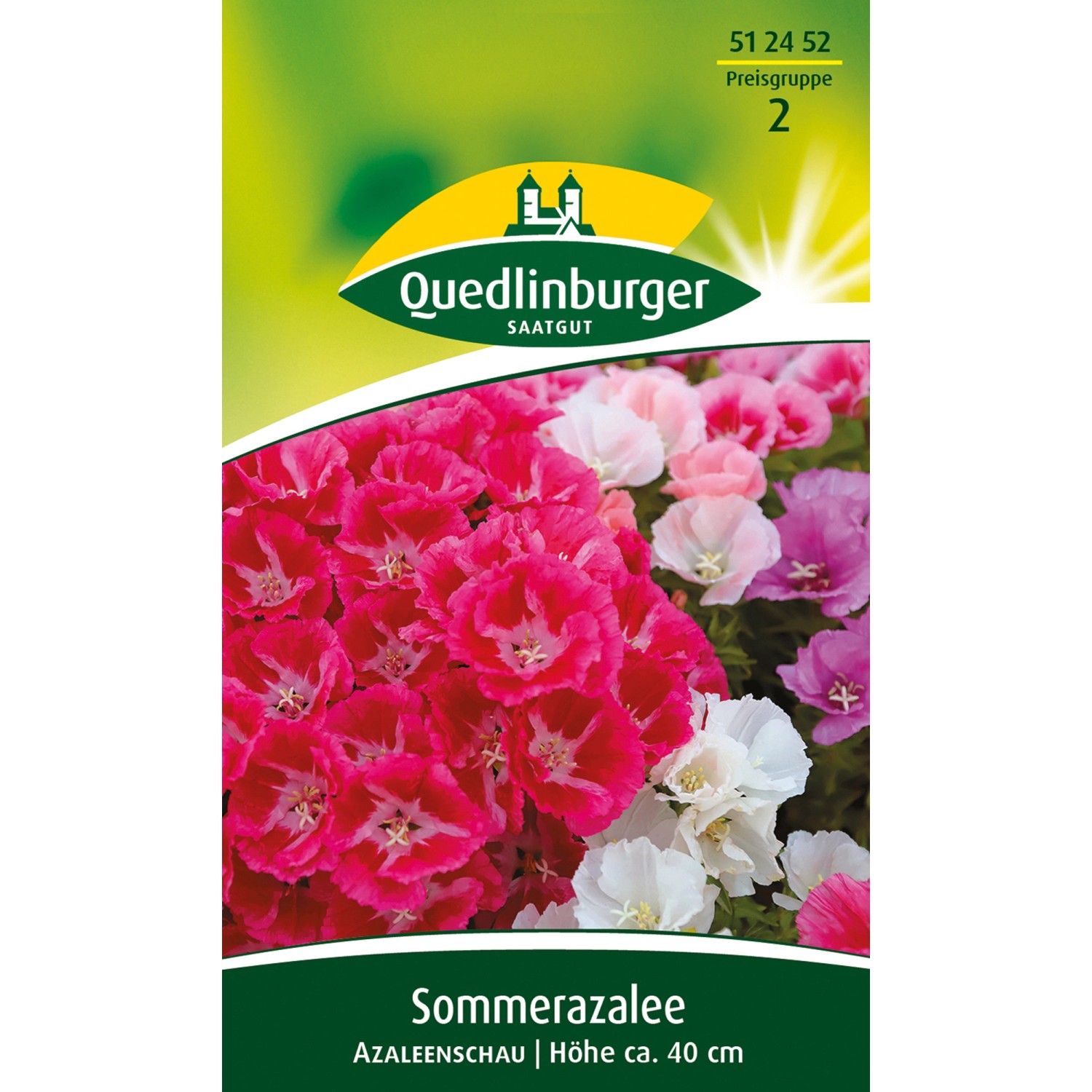 Quedlinburger Sommerazalee ''Azaleenschau Mischung'' günstig online kaufen