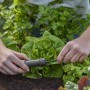 Gardena Basisgerät 1000 im Einsatz: Micro-Drip-System Startbaustein wird im Garten installiert.
