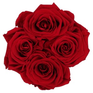 Nahaufnahme von vier bordeauxfarbenen Rosen in einer schwarzen Rosenbox mit Schleife.