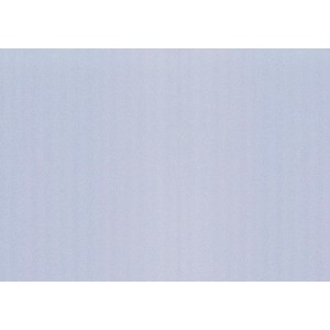 d-c-fix Klebefolie Lynn Transparent, 90x150cm, statisch haftend für Fenster und Glasflächen.