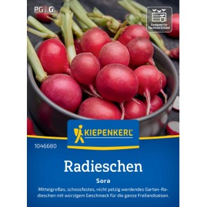 Kiepenkerl Radieschen Sora Saatgut: Leuchtend rote, runde Radieschen in einer Schale.