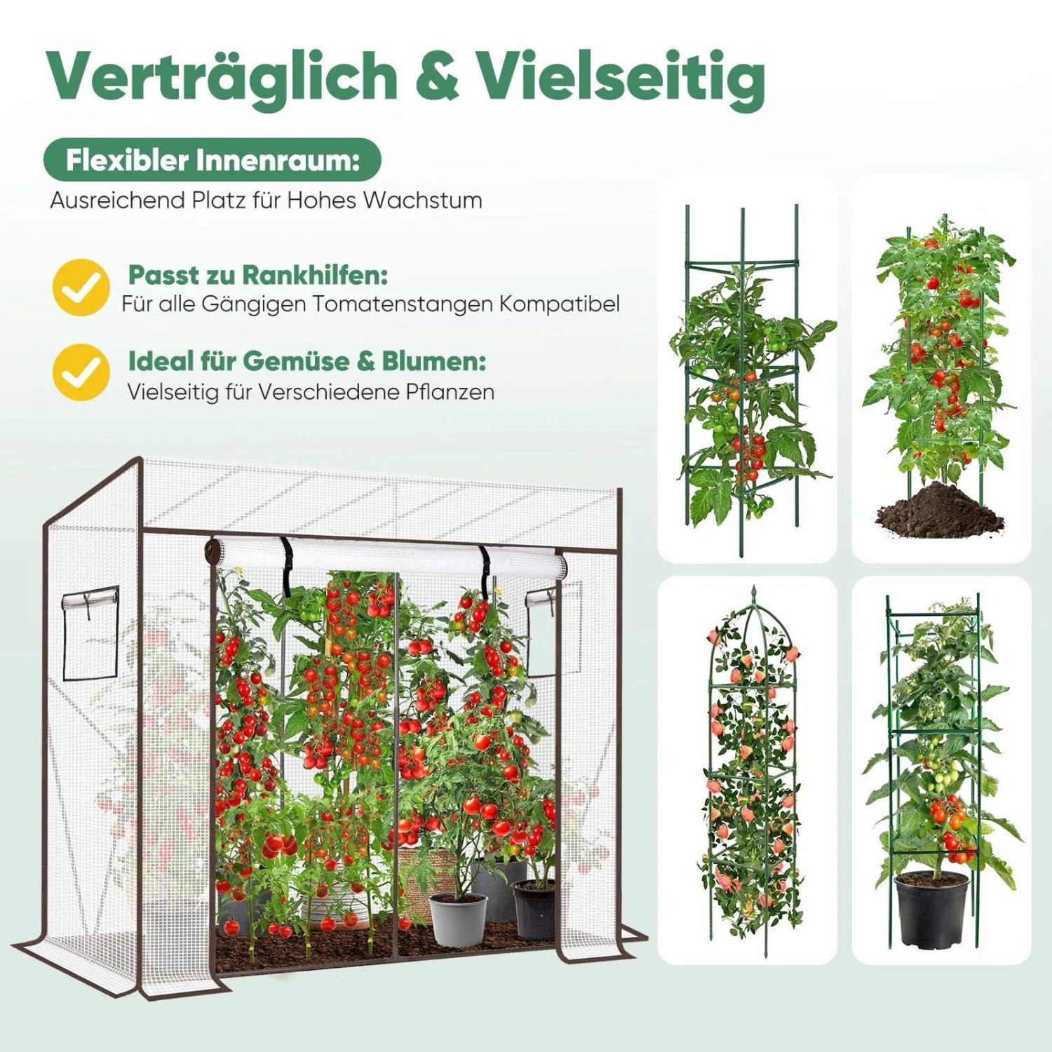 Transparentes Foliengewächshaus mit Tomatenpflanzen und Rankhilfen. Perfekt für Garten & Balkon.