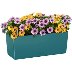 Lechuza Balconera Color 50, petrolblauer Blumenkasten mit bunten Blumen.