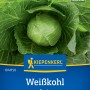 Kiepenkerl Weißkohl Sunta F1-Hybride: Kopf mit grünen Blättern, geeignet für Hochbeete.