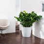 Weißes Lechuza Classico Color 35 Pflanzgefäß mit Pflanze im modernen Wohnraum.