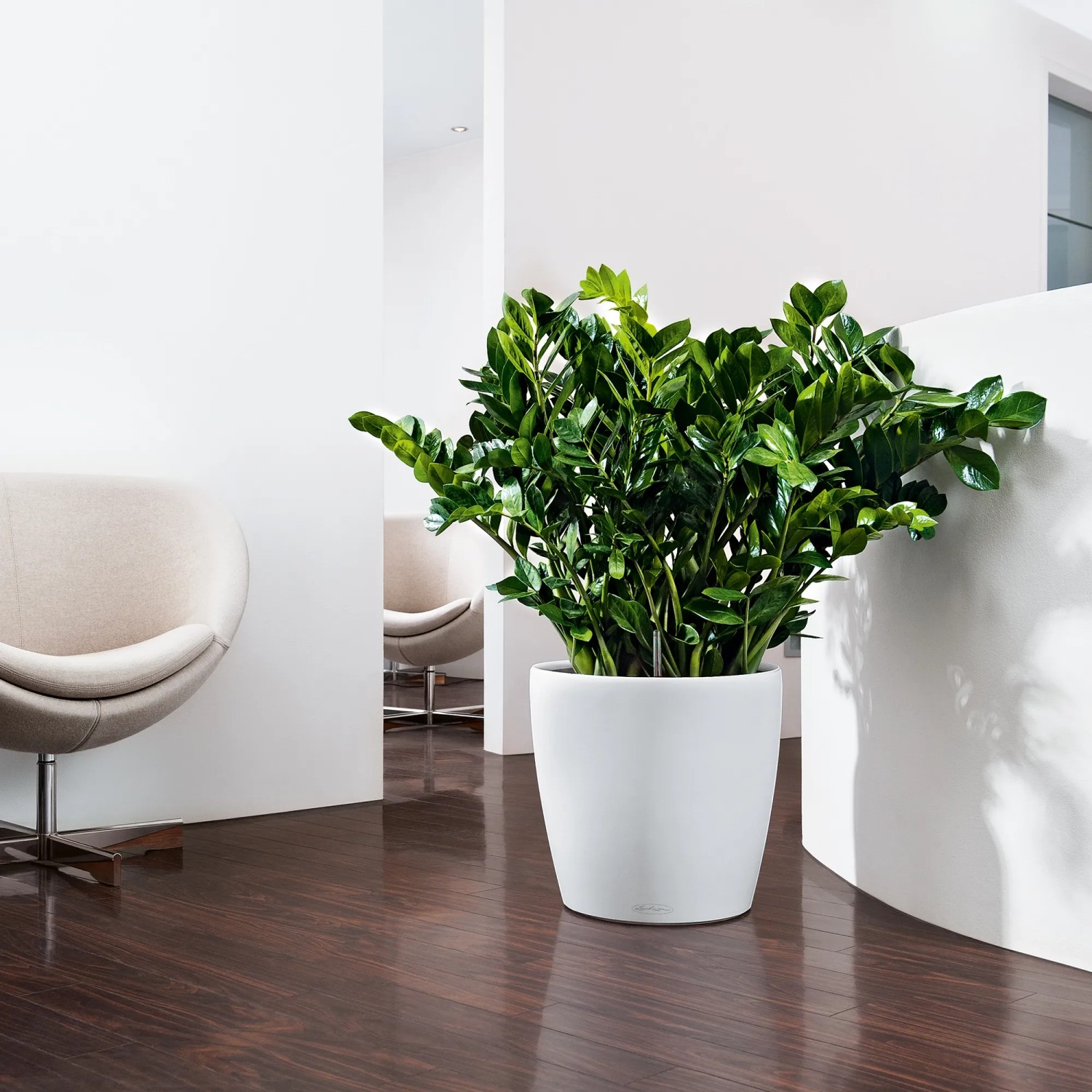 Weißes Lechuza Classico Color 35 Pflanzgefäß mit Pflanze im modernen Wohnraum.