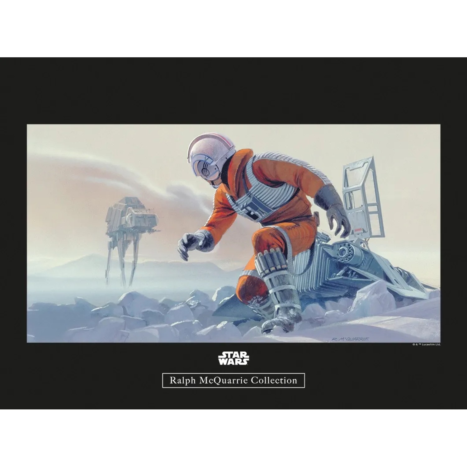 Komar Wandbild Star Wars Pilot 40 x 30 cm