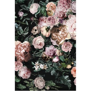 Komar Wandbild Charming Wild, 50x70 cm, mit Rosen und Pfingstrosen auf dunklem Grund.