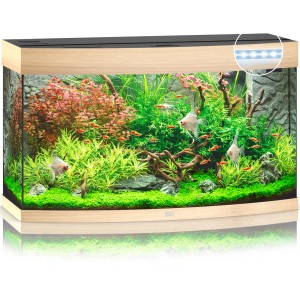 Juwel Vision 180 LED Aquarium-Set, helles Holz, 180 Liter, bepflanzt mit Fischen.