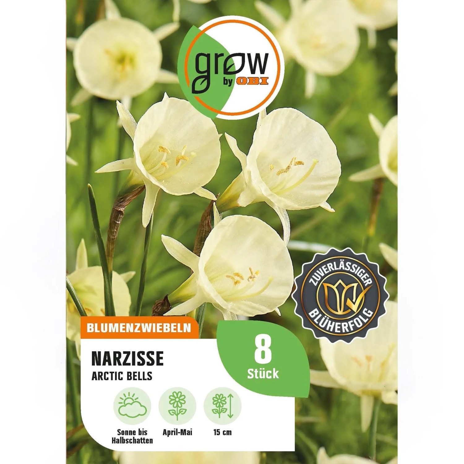 GROW by OBI Narzisse Arctic Bells Creme 8 Stück Narcissus bulbocodium