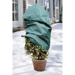 Dunkelgrüne Videx Garden Winterschutz Vlieshaube Mega (180x120cm) schützt Kübelpflanze im Winter.