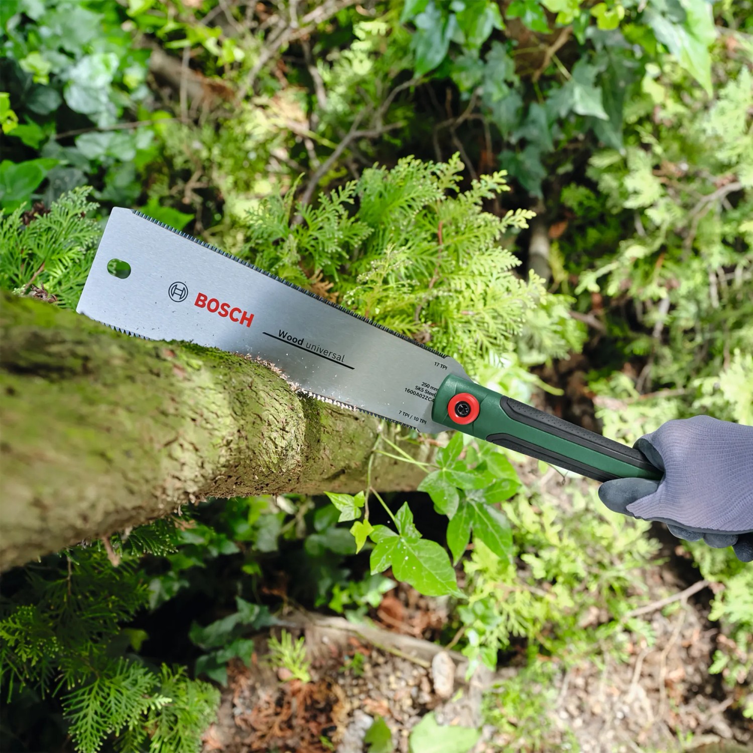 Bosch Japansäge Ryoba in Aktion: Zugsäge schneidet Ast im Garten. Handsäge mit Softgriff.