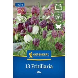 Kiepenkerl Schachbrettblumen Mischung, mehrfarbige Blüten im Garten oder Kübel.