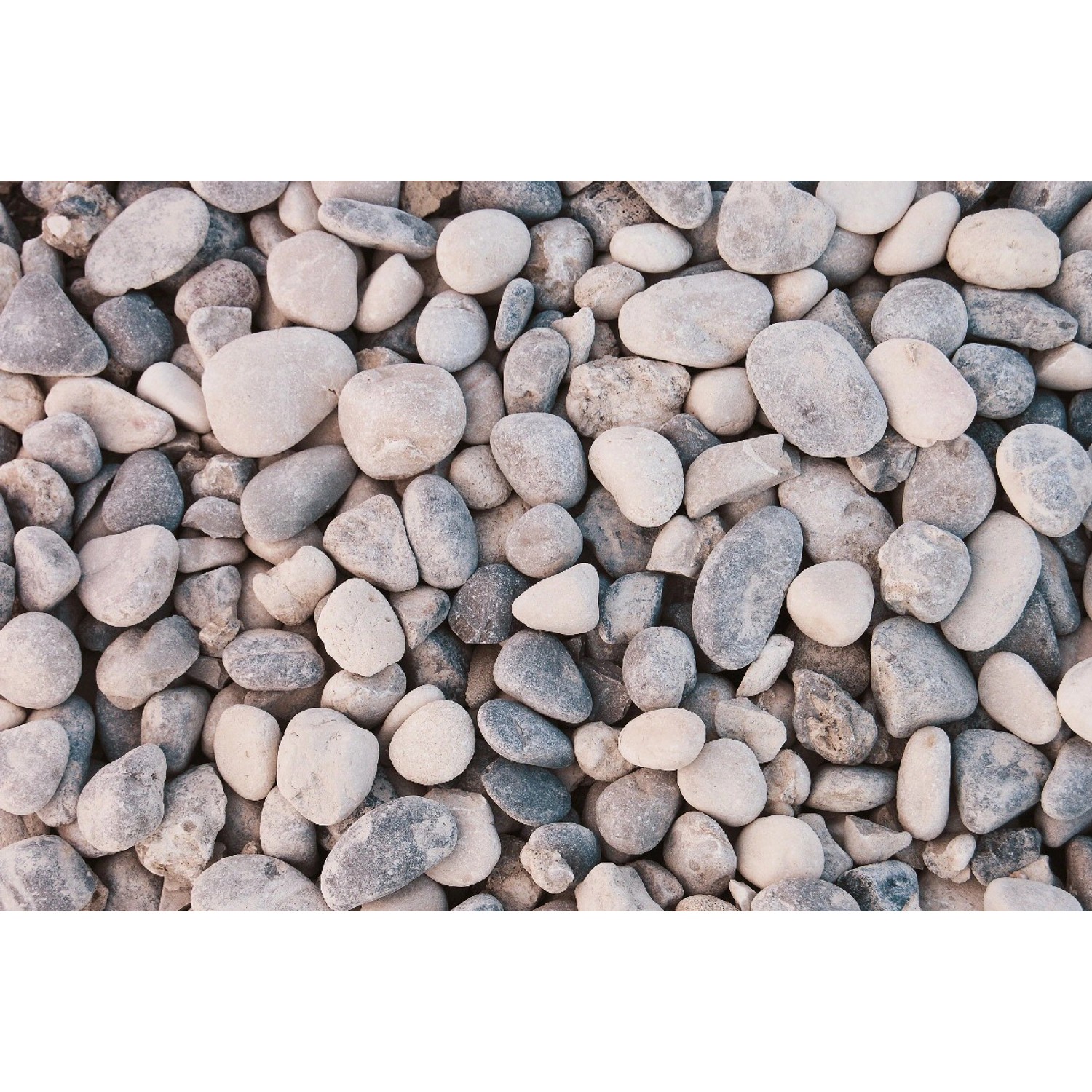 Scherf Flusskiesel Grau-Beige 16-32 mm 25 kg PE-Sack