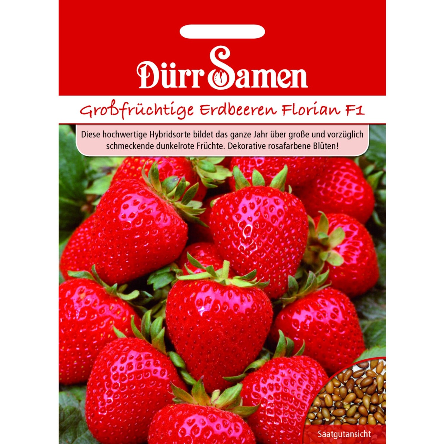 Dürr Samen Erdbeeren Florian F1 Saatgut günstig online kaufen