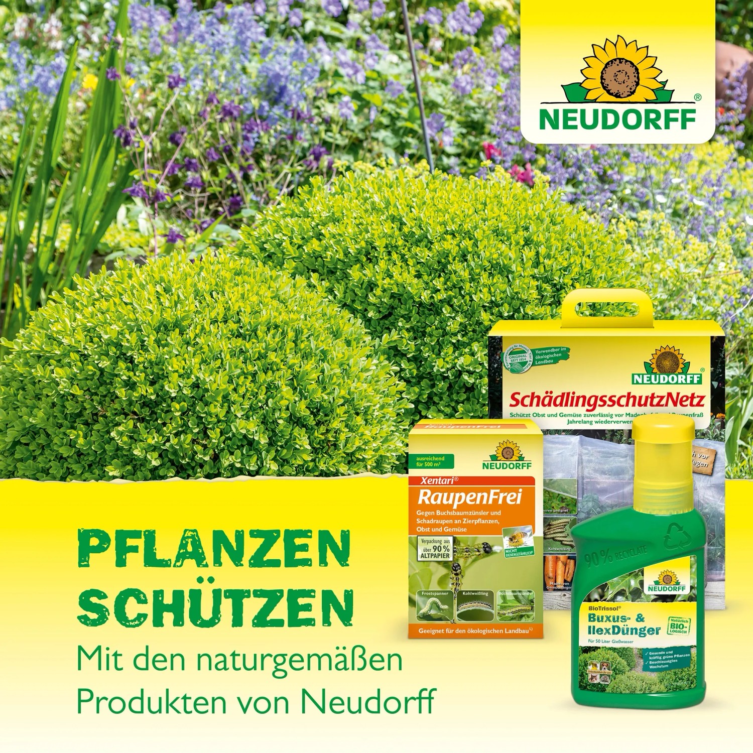 Neudorff Produkte zur Schädlingsbekämpfung: Buchsbaumzünsler-Falle, Raupenfrei, Schädlingsschutznetz und Dünger.