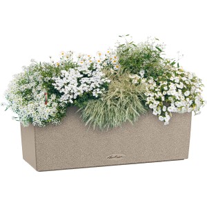 Lechuza Balconera Stone 50 Sandbeige, bepflanzter Blumenkasten mit Bewässerungssystem, 50x19 cm.