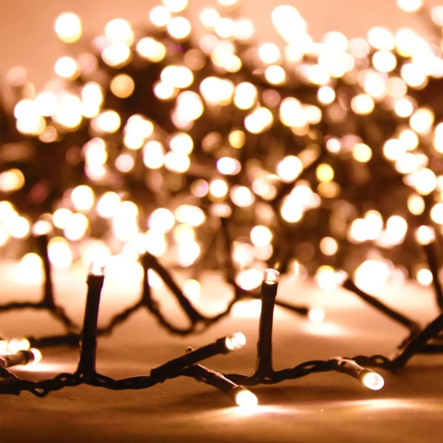 Warmweiße LED-Lichterkette mit dunklem Kabel, viele leuchtende LEDs. Ideal für Weihnachtsdekoration.