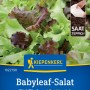 Kiepenkerl Babyleaf-Salat Vital Mischung Saatteppich mit roten und grünen Salatblättern.