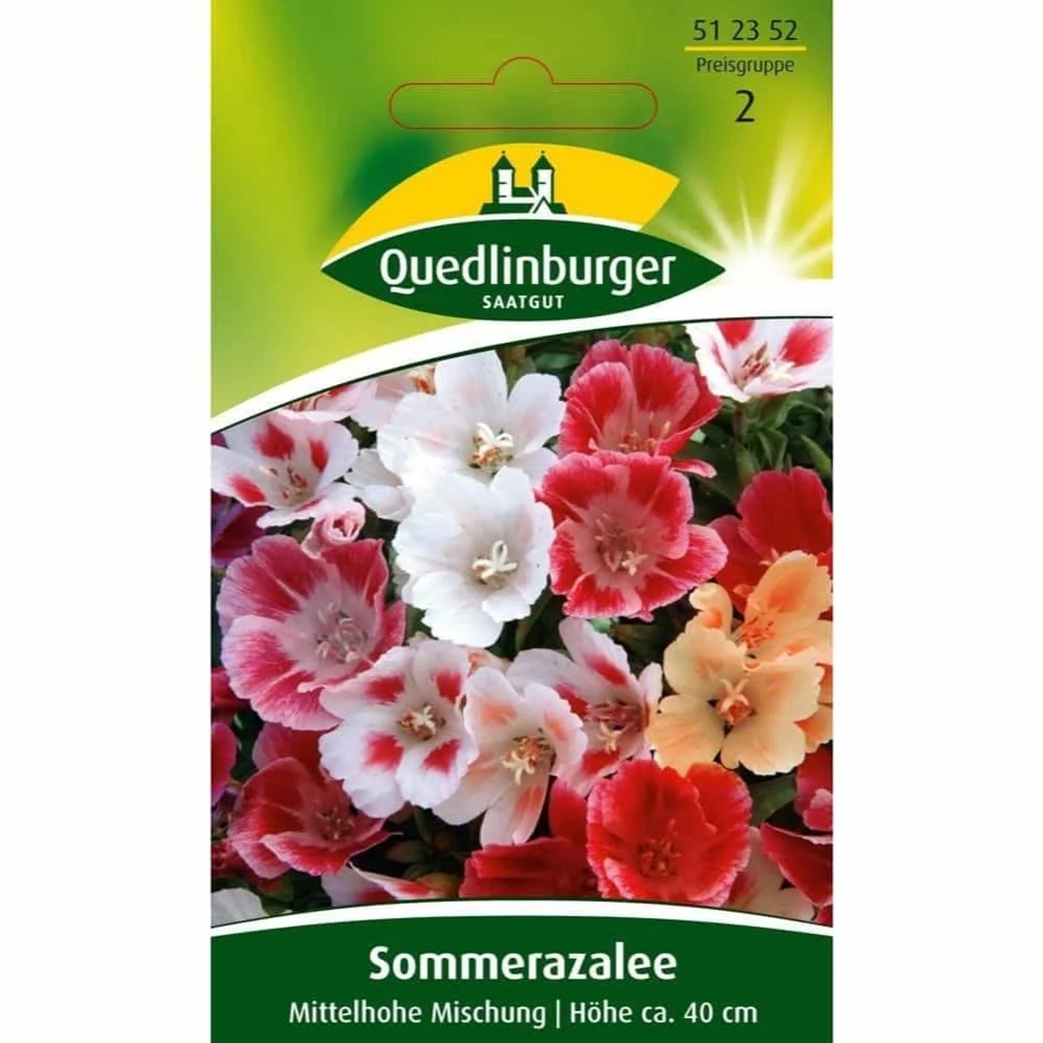 Quedlinburger Sommerazalee ''Mittelhohe Mischung''