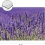 Myspotti Mini-Spritzschutzplatte Lavendel, Küchenrückwand mit Lavendelblüten-Motiv, 59x41 cm.