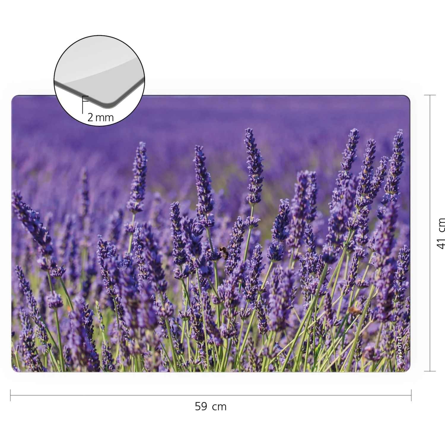 Myspotti Mini-Spritzschutzplatte Lavendel, Küchenrückwand mit Lavendelblüten-Motiv, 59x41 cm.