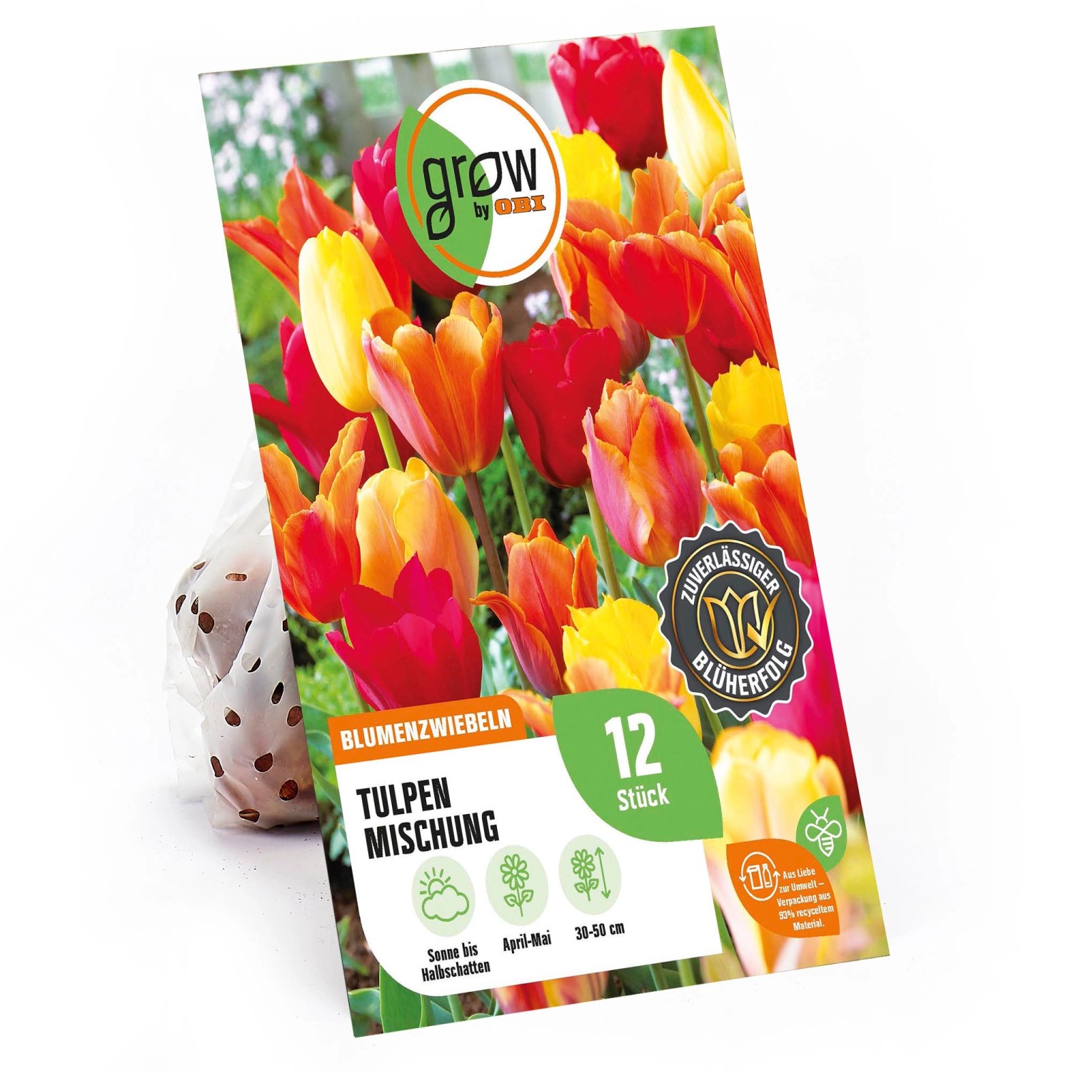 GROW by OBI Tulpen-Kollektion 2 Mischung Gelb-Orange-Rot 12 Stück günstig online kaufen