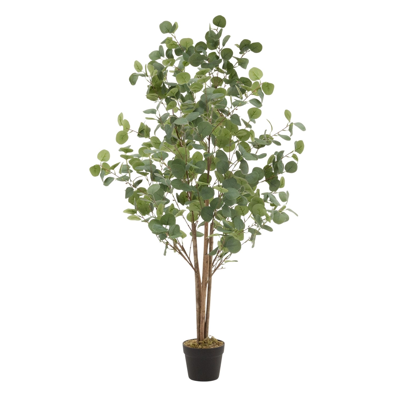 ML-Design Künstliche Eukalyptus 150cm Groß Kunstpflanze Naturholzstamm günstig online kaufen