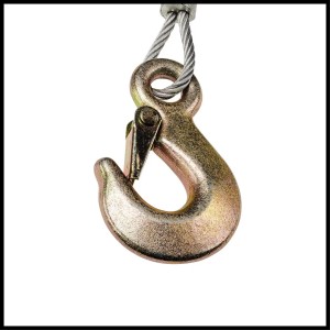 Detailaufnahme: Lasthaken mit Sicherung der Einhell Handseilwinde TC-WI 800.